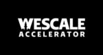 Chris-Heckman-–-WeScale-Accelerator-Course-2.0.jpg