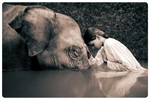 Luxury Academy – Psychology In Luxury